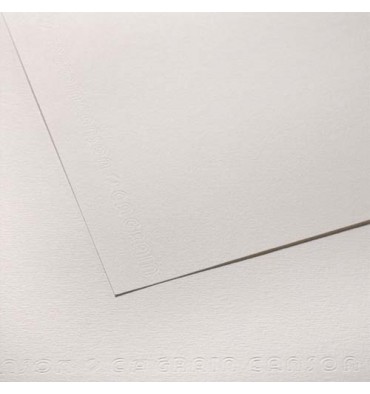 Feuille cartonnée blanc-gris (1200g) 50x65 cm