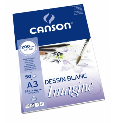 Canson, Papier dessin, 500 x 650 mm, Blanc, 160G, C31027S086